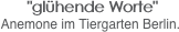  "glühende Worte"