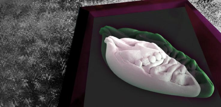 Newproductsarethelifebloodoftheindustry