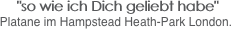  "so wie ich Dich